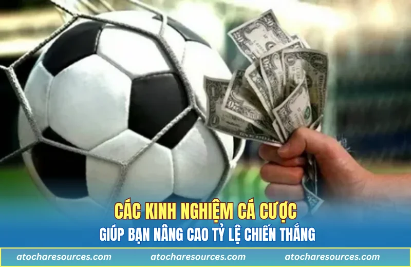 Các kinh nghiệm cá cược giúp bạn nâng cao tỷ lệ chiến thắng