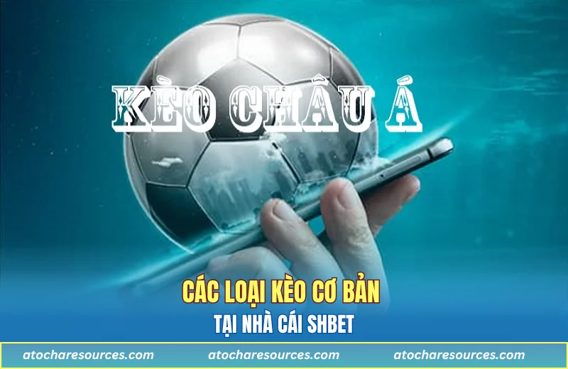 Các loại kèo cơ bản tại nhà cái SHBET