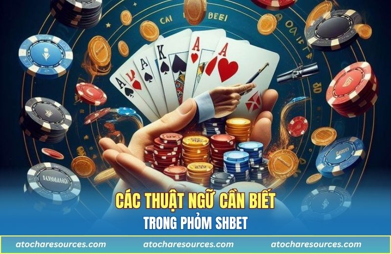 Các thuật ngữ cần biết trong phỏm SHBET