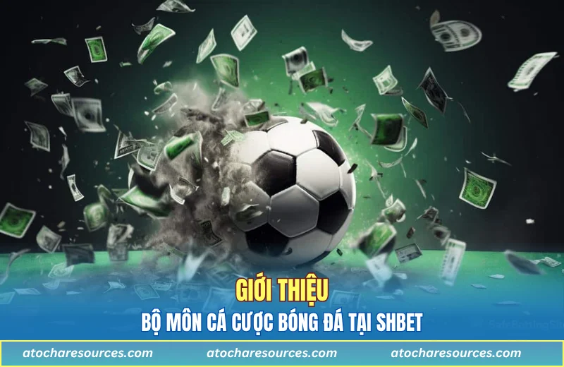 Giới thiệu bộ môn cá cược bóng đá tại SHBET