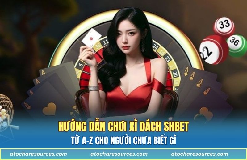 Hướng Dẫn Chơi Xì Dách SHBET từ A-Z Cho Người Chưa Biết Gì
