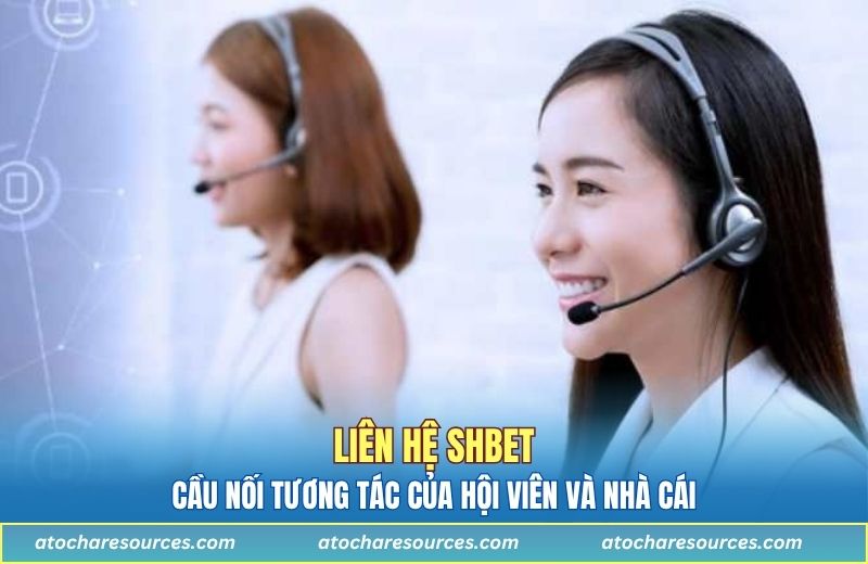 Liên hệ SHBET