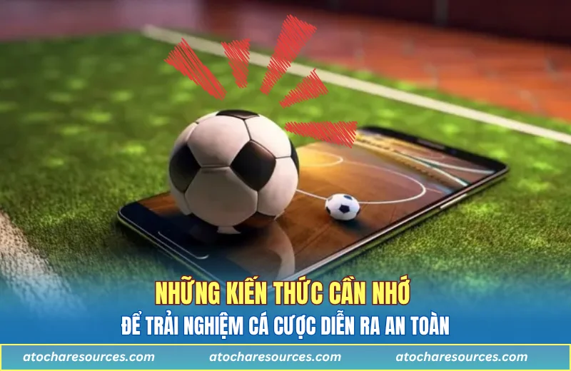 Những kiến thức cần nhớ để trải nghiệm cá cược diễn ra an toàn