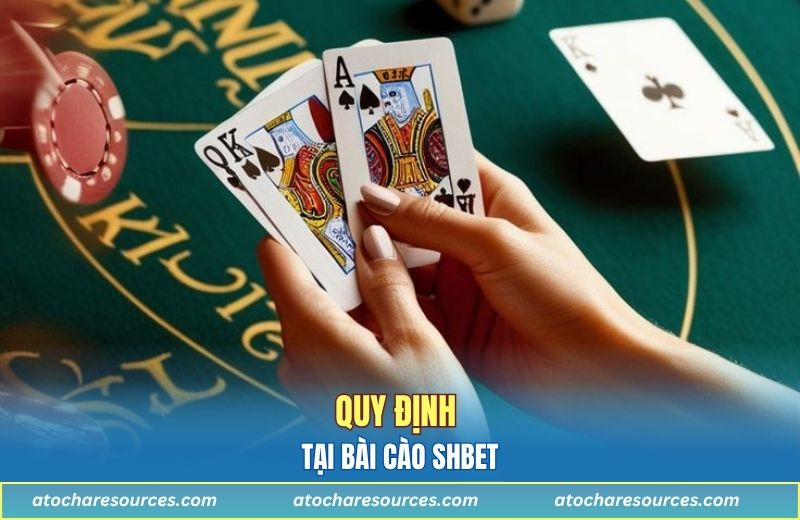 Quy định tại bài cào SHBET