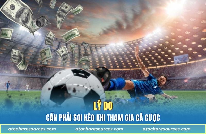 Tại sao cần phải soi kèo khi tham gia cá cược?