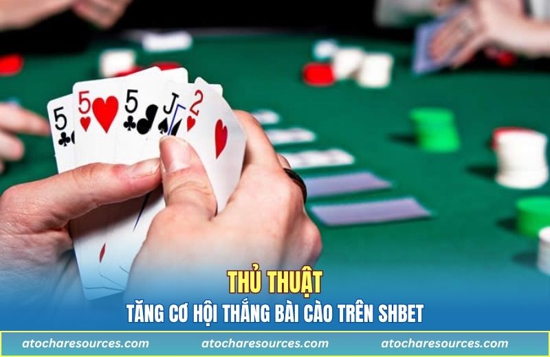 Thủ thuật tăng cơ hội thắng bài cào trên SHBET