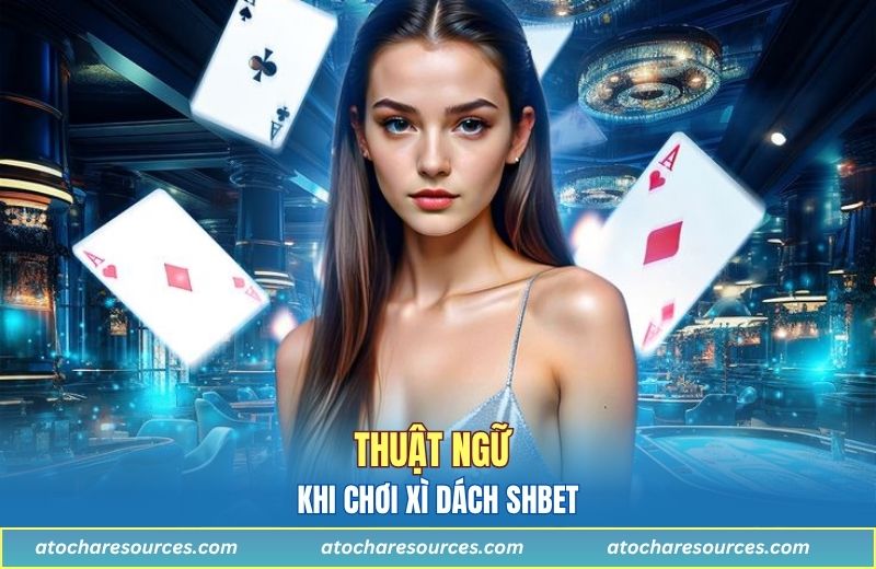 Thuật ngữ khi chơi xì dách SHBET
