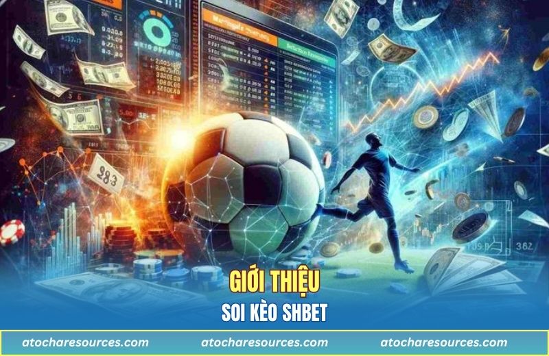 Tìm hiểu về soi kèo SHBET