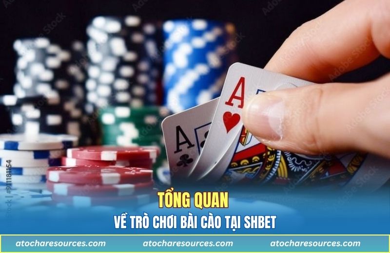 Tổng quan về trò chơi bài cào tại SHBET